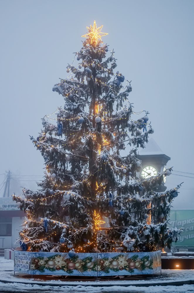 Photograph by Галина Григорьева