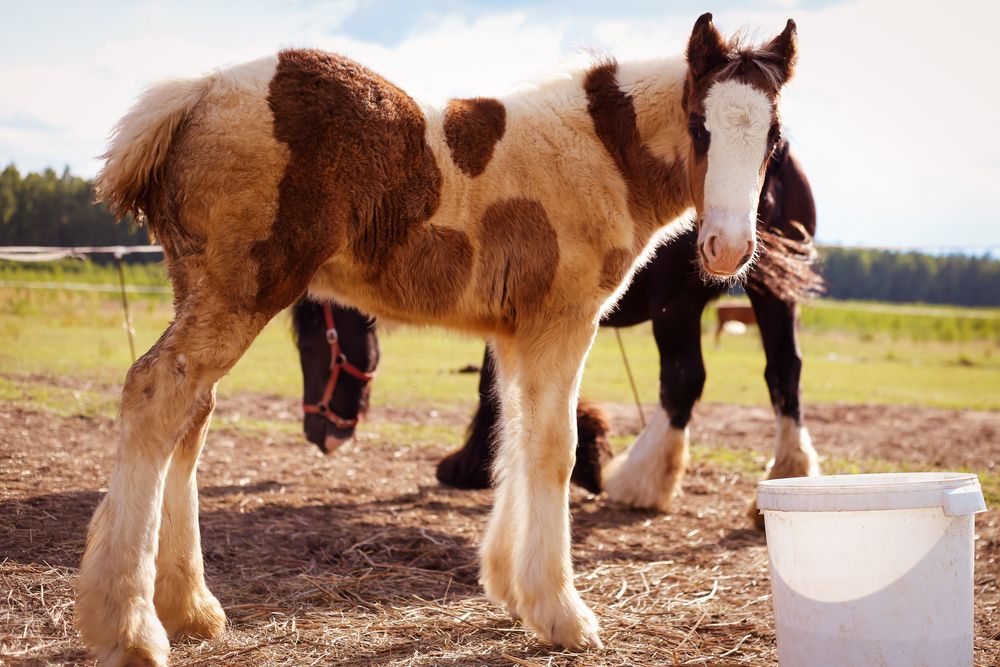 Photograph by Елена Буканина