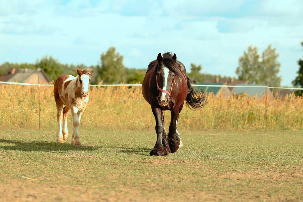 Photograph by Елена Буканина