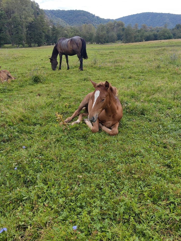 Гумеровское ущелье
