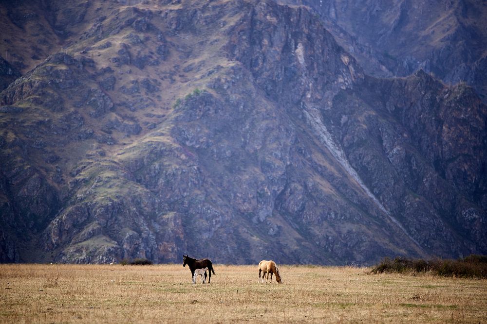 Photograph by Михаил Рогачев