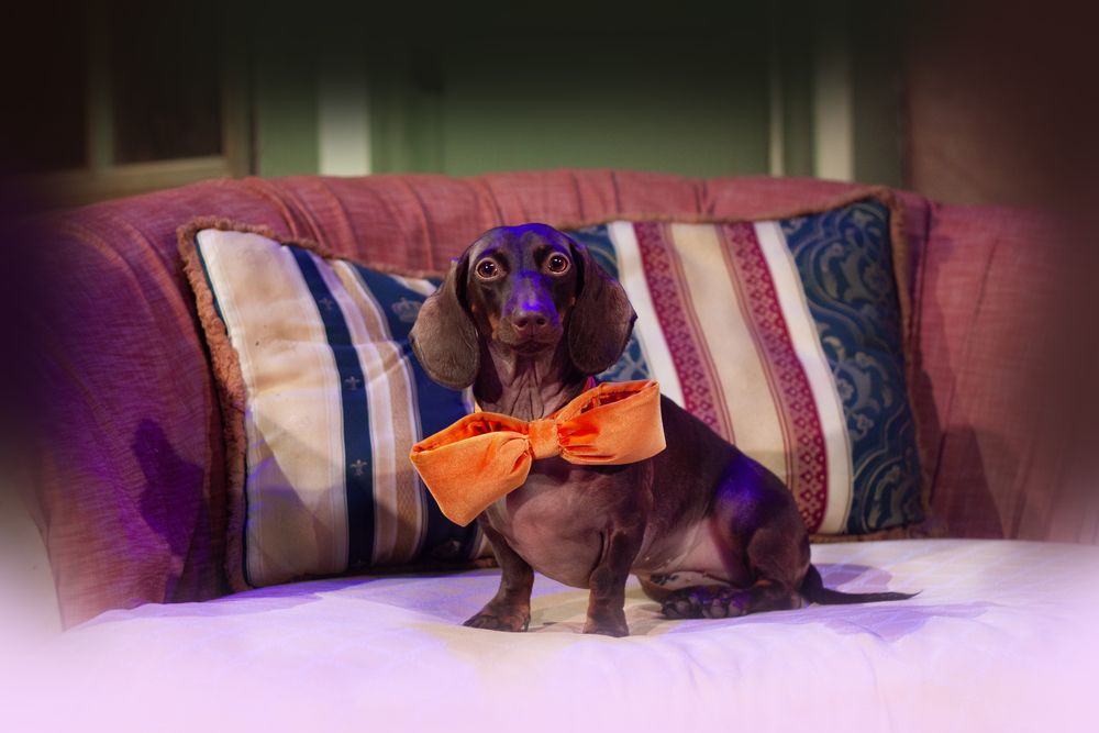 Photograph by Елена Иванова