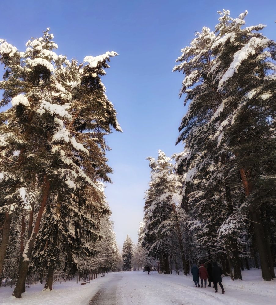 Photograph by Осадчая Анна