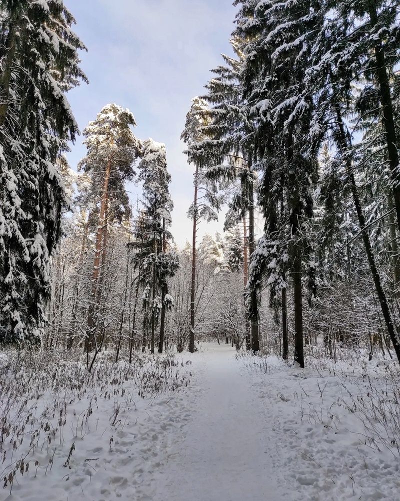 Photograph by Осадчая Анна