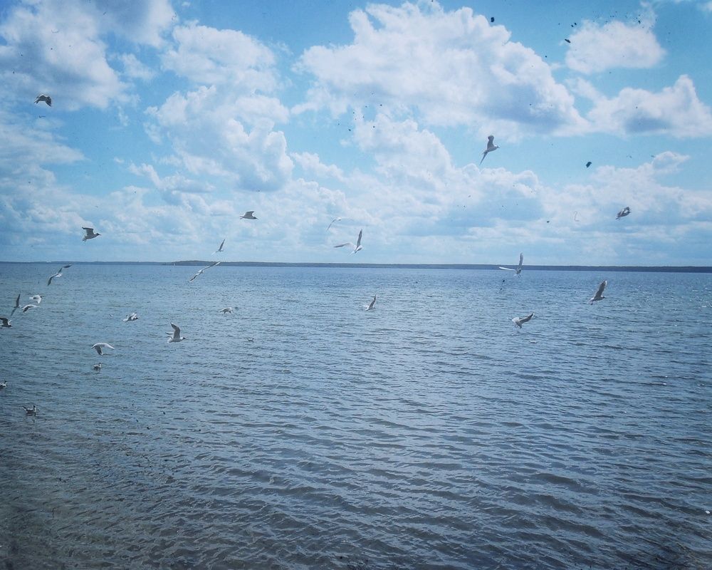 Photograph by Осадчая Анна