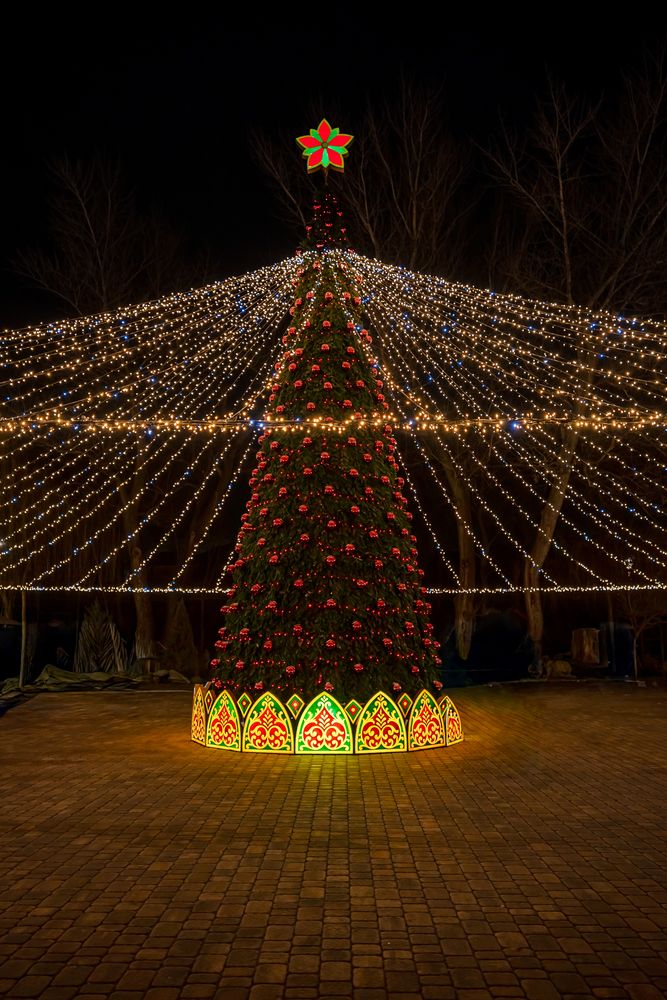 Photograph by Галина Григорьева