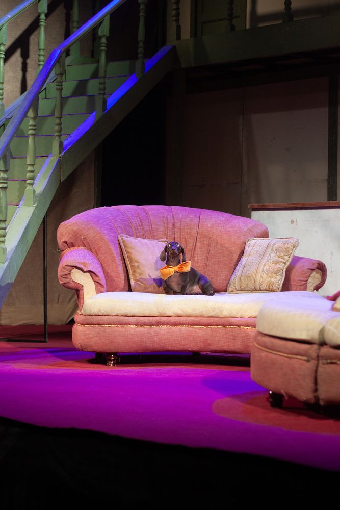 Photograph by Елена Иванова