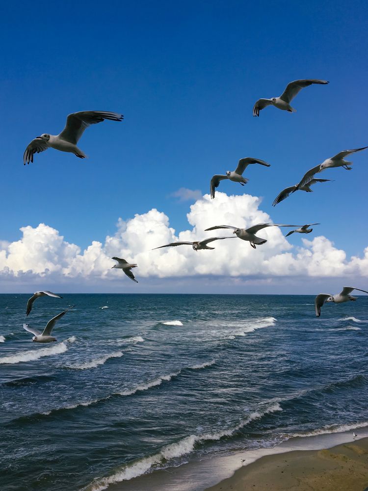 Photograph by Дарья Андреева