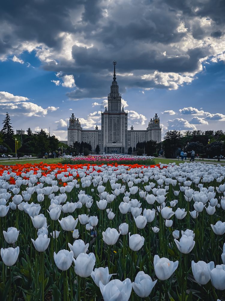 Photograph by Дарья Андреева