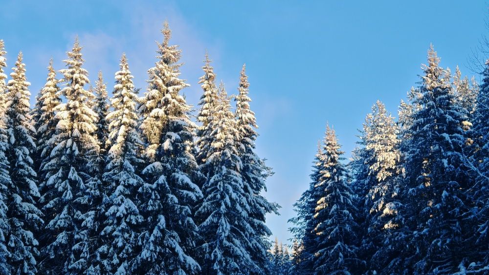 Photograph by Анастасия