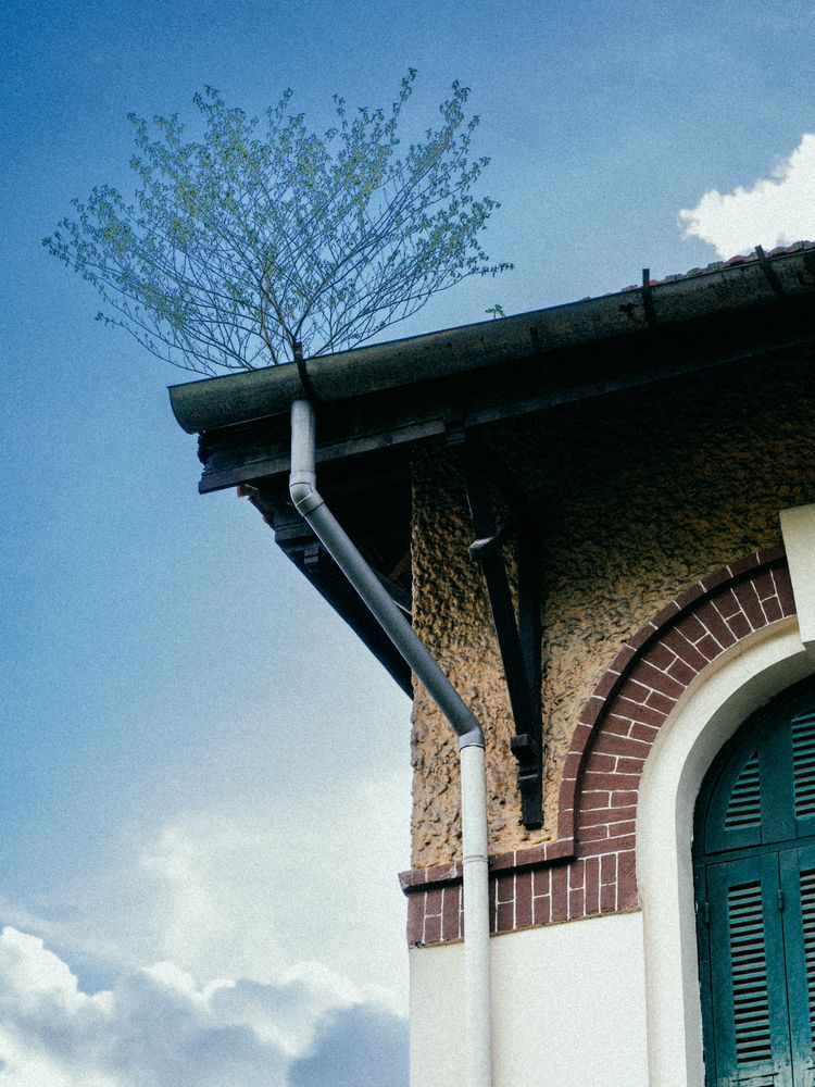 Фотография автора CAO QUOC HUNG