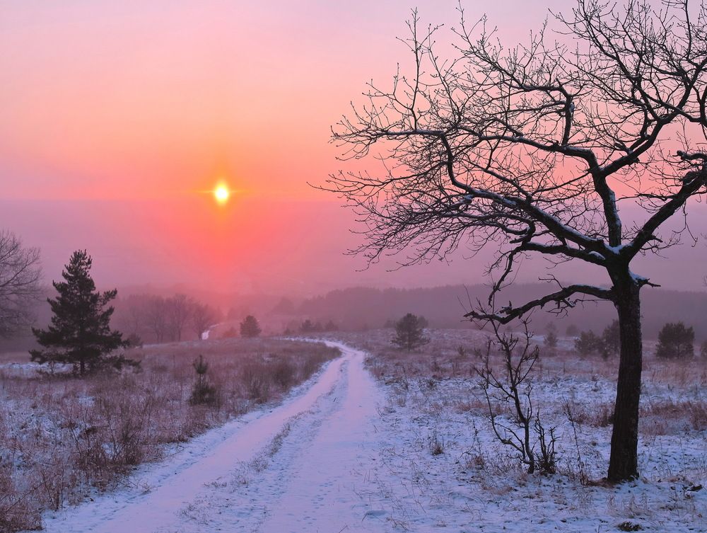 Photograph by Серёга Ануфриев