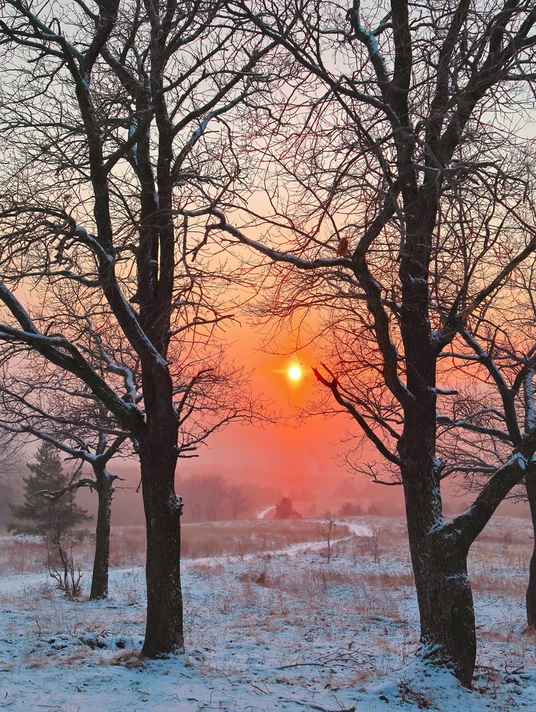 Photograph by Серёга Ануфриев