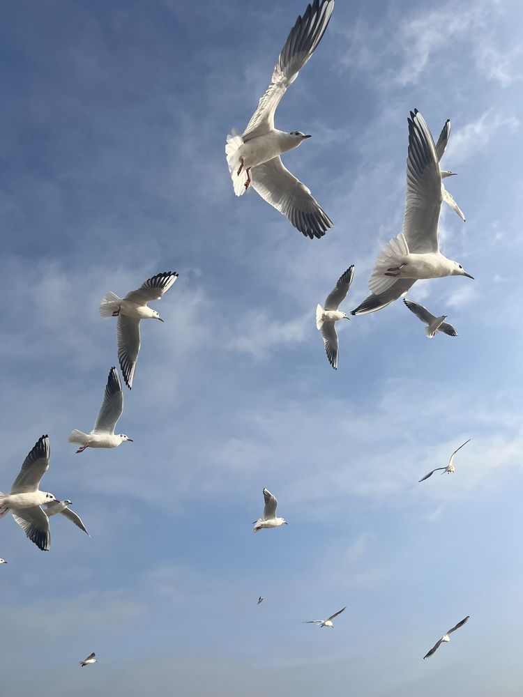 Photograph by Елена Богданович