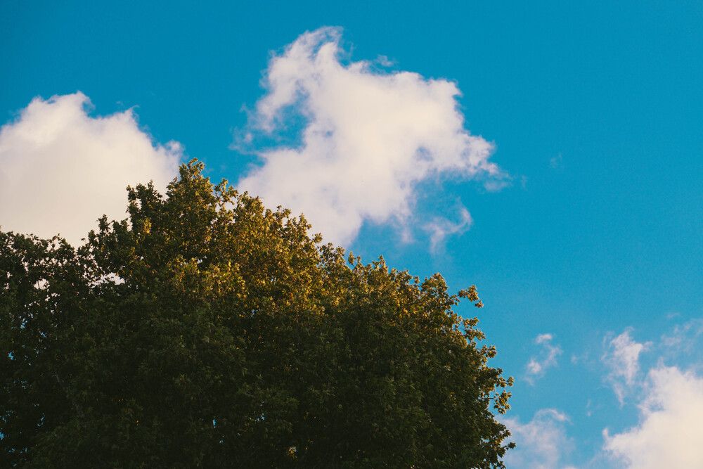 Photograph by Hakan Tunc