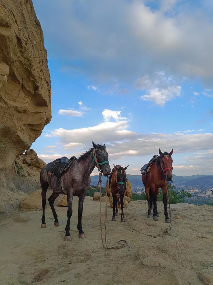 Фотография автора Ольга Кунакова