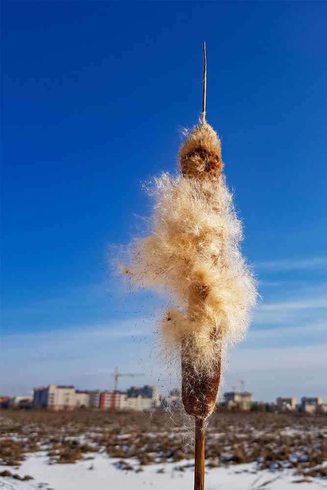 Фотография автора Игорь Кот