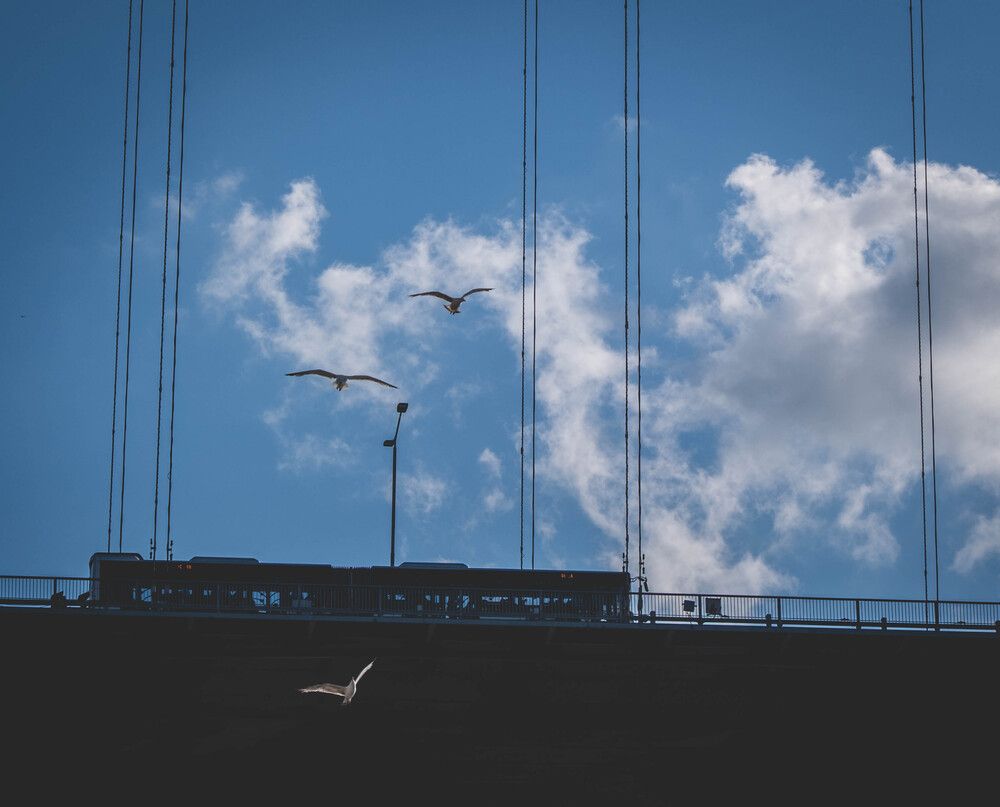 Photograph by Hakan Tunc