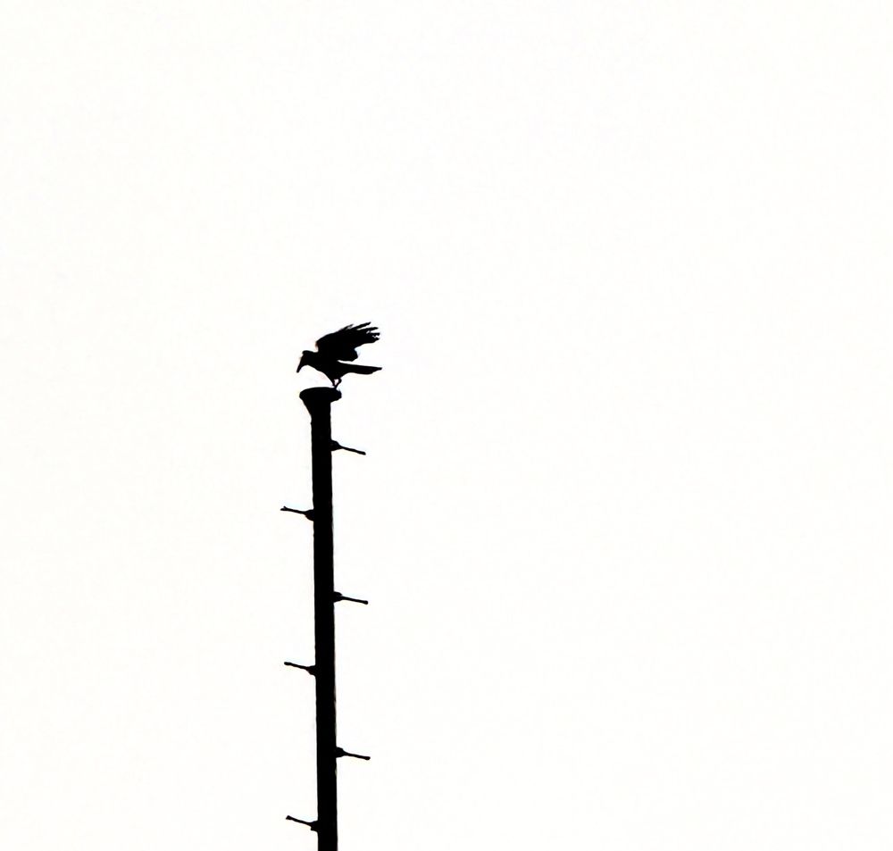 Photograph by Elnaz Tavakoli