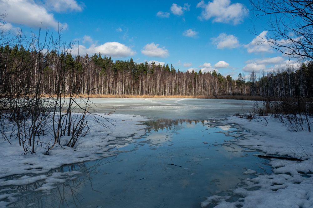 Фотография автора Валерий Бычков