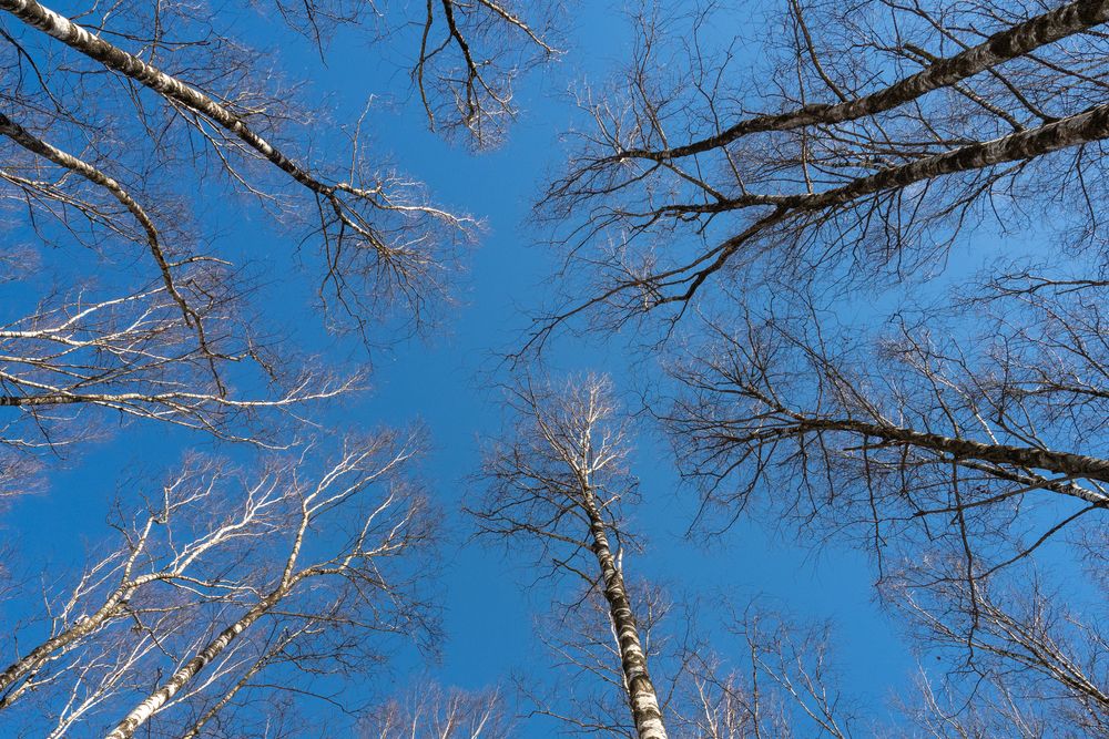 Фотография автора Валерий Бычков