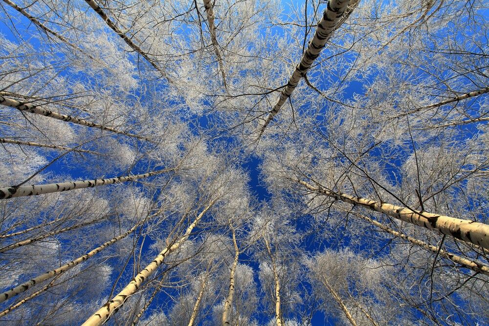 Photograph by ANDREY PERESHEIN