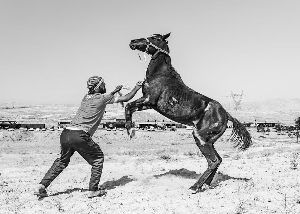 Photograph by seyed mostafa yousefi