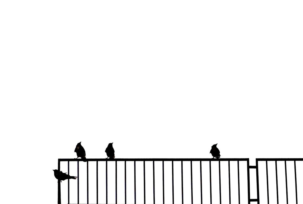 Photograph by Elnaz Tavakoli