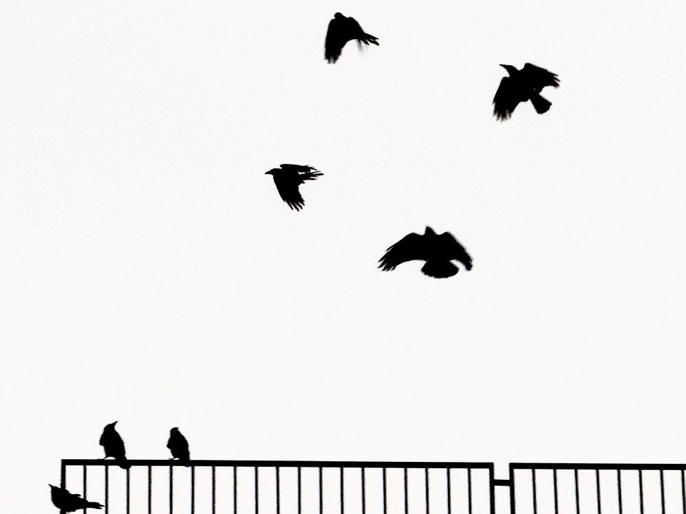 Photograph by Elnaz Tavakoli