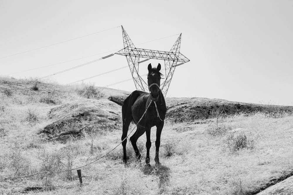 Photograph by seyed mostafa yousefi