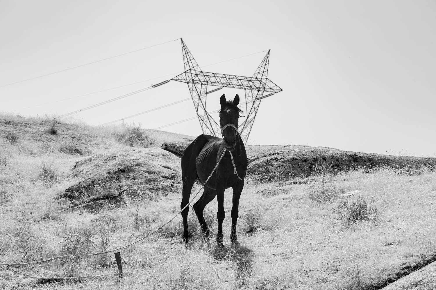 Фотография #12989492