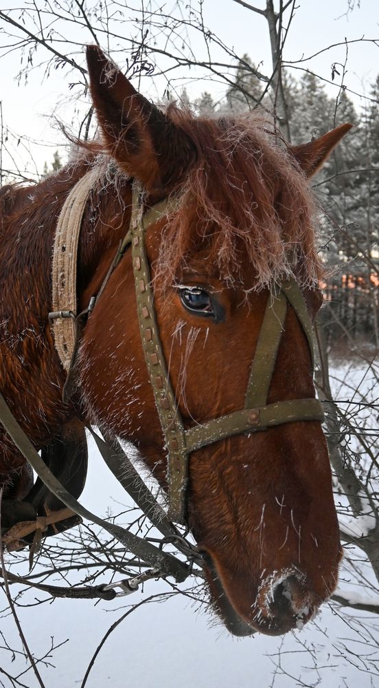 Photograph by Ирина Вдовенко