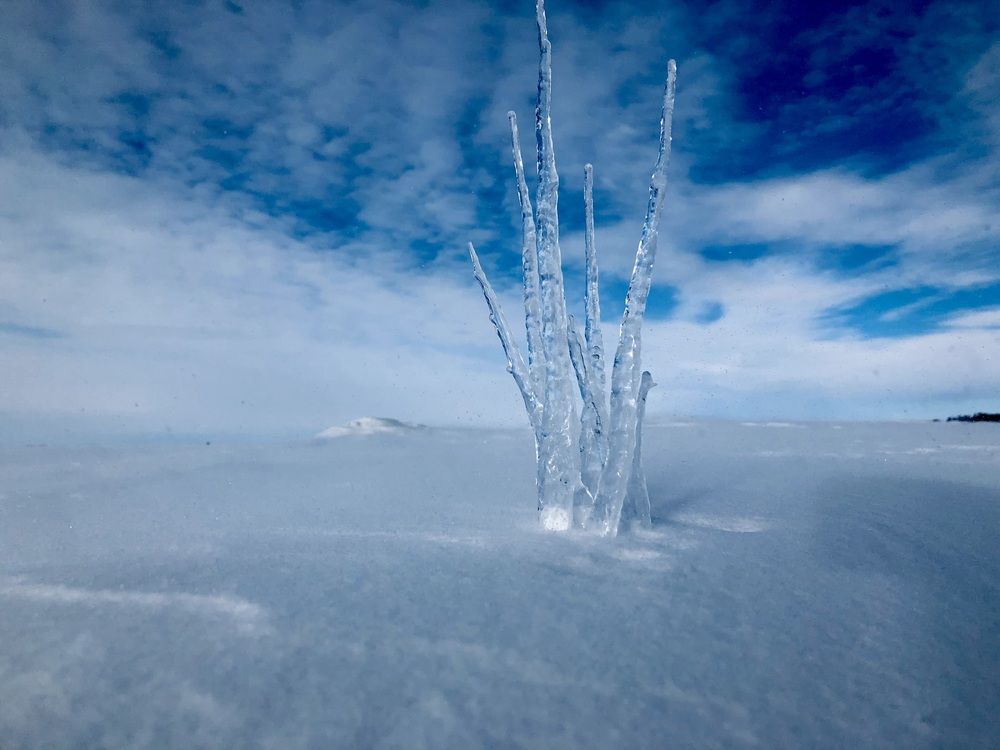 Photograph by Елена Шведова