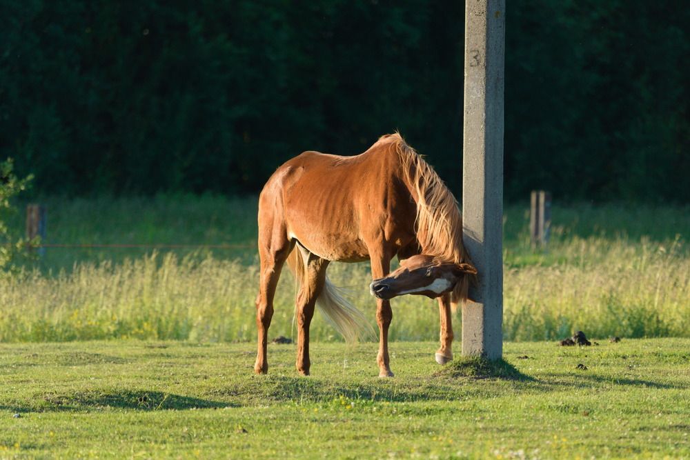 Photograph by Ольга Якубова