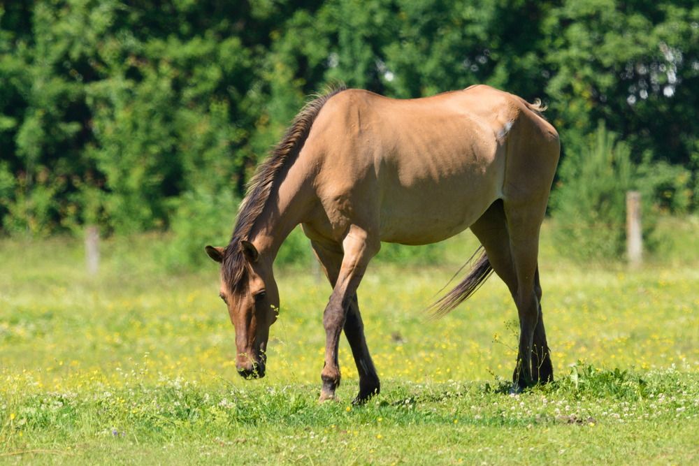 Photograph by Ольга Якубова