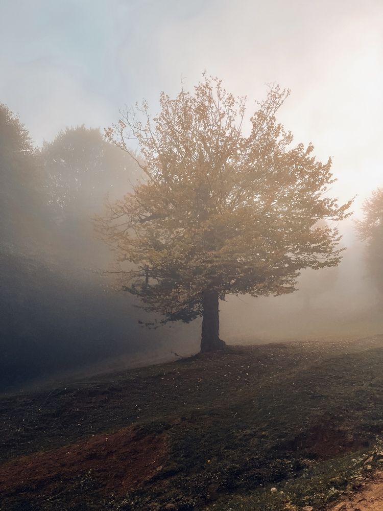 Photograph by Elnaz Tavakoli