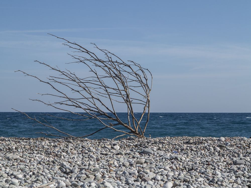 Жажда у моря