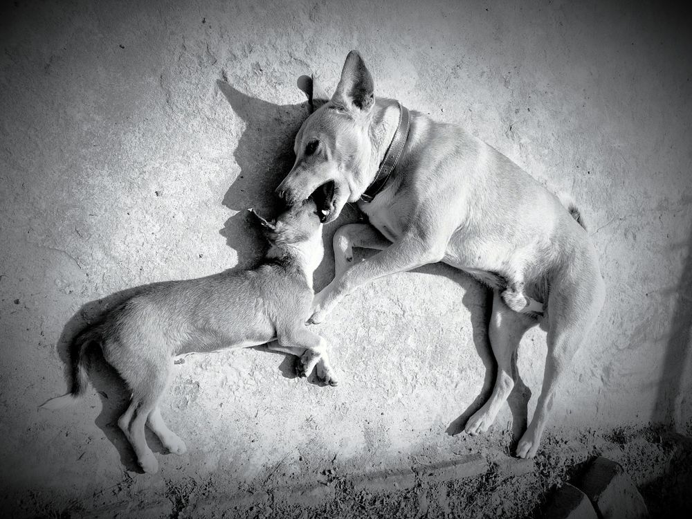 Photograph by Kalyan Bhowmick