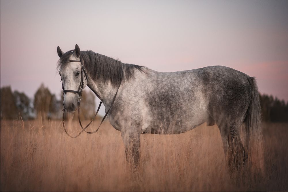 Photograph by Анна Абрамова
