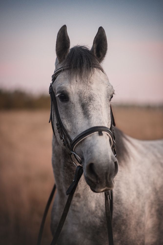 Photograph by Анна Абрамова