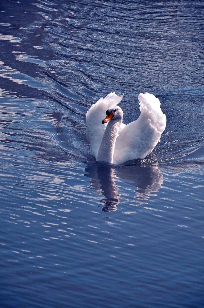 Photograph by Зыкова Мария