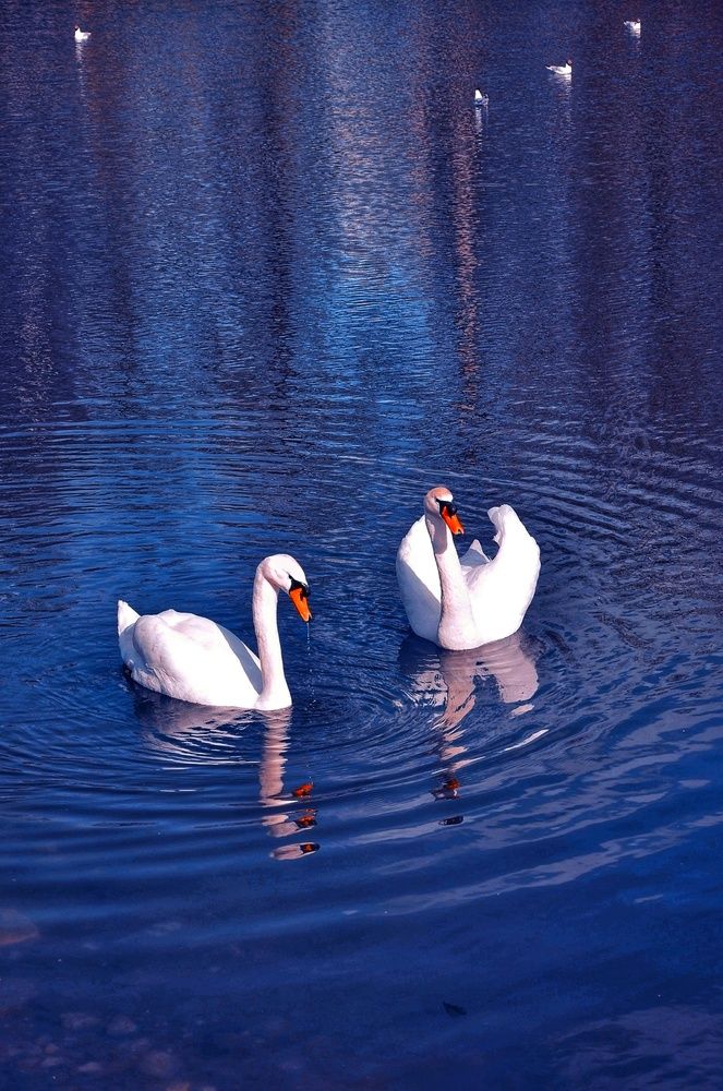 Photograph by Зыкова Мария