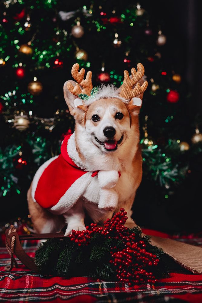 Photograph by Анна Абрамова