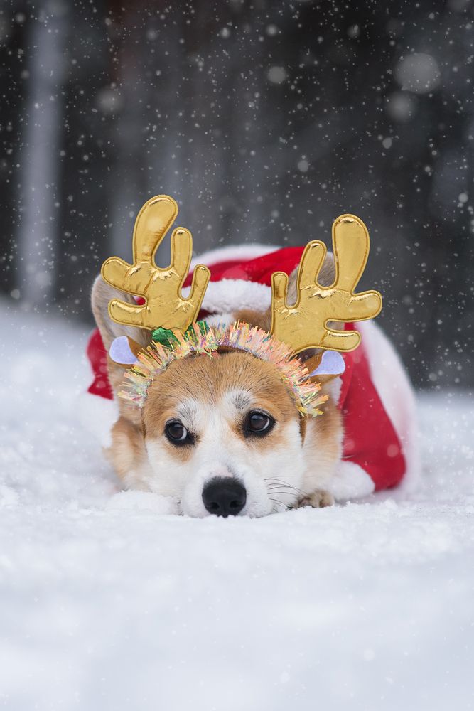 Photograph by Анна Абрамова