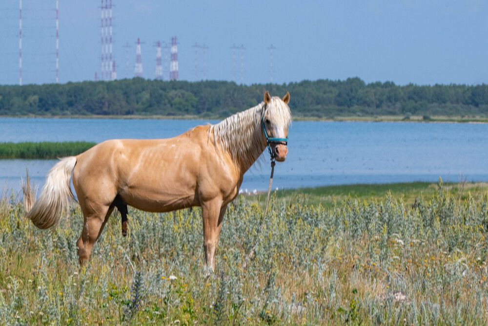 Photograph by Darina