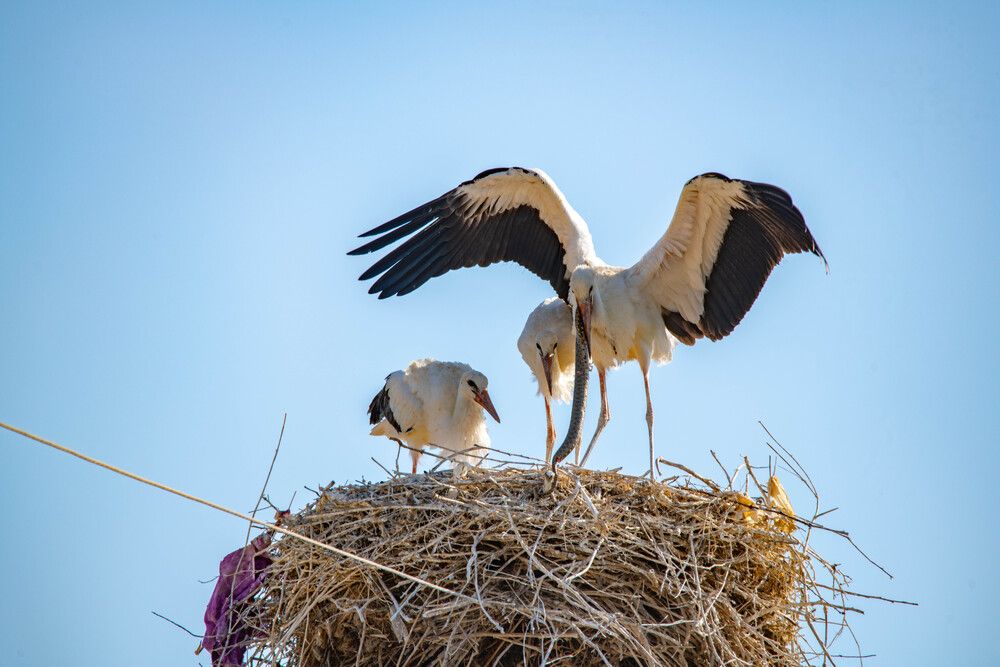 Photograph by Darina