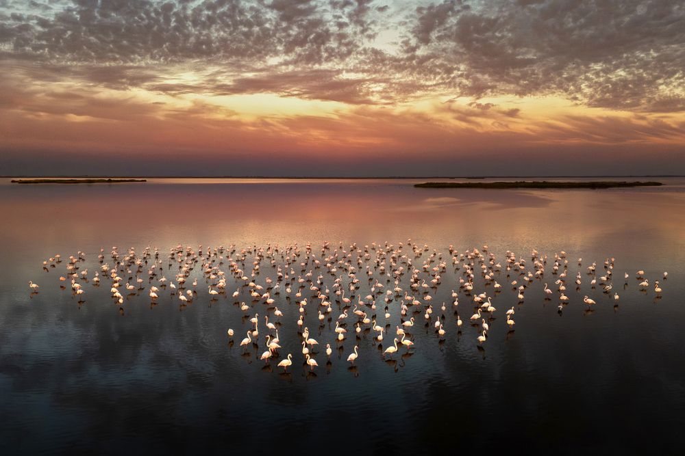 Photograph by Hanifi