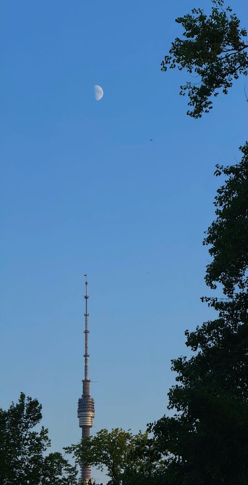 Фотография автора Галина Санчирова