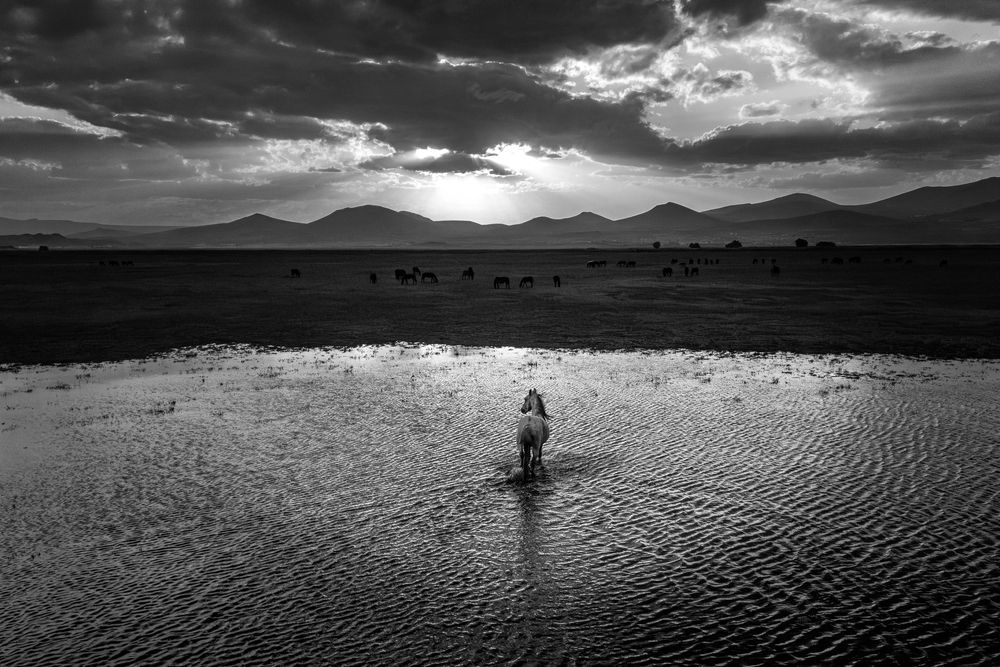 Photograph by Hanifi