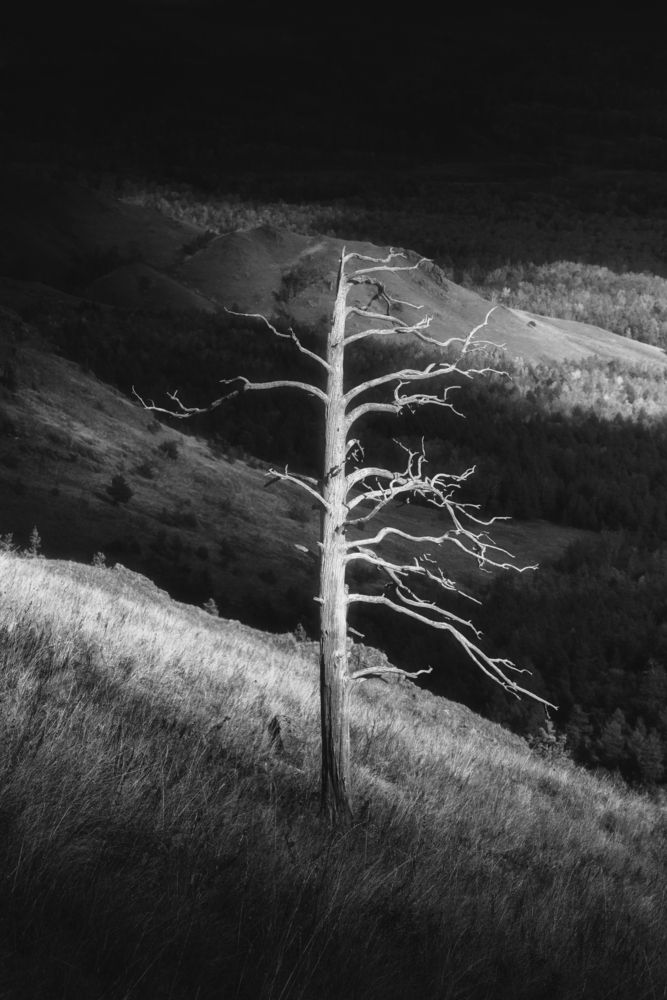 Photograph by Силантьев Даниил